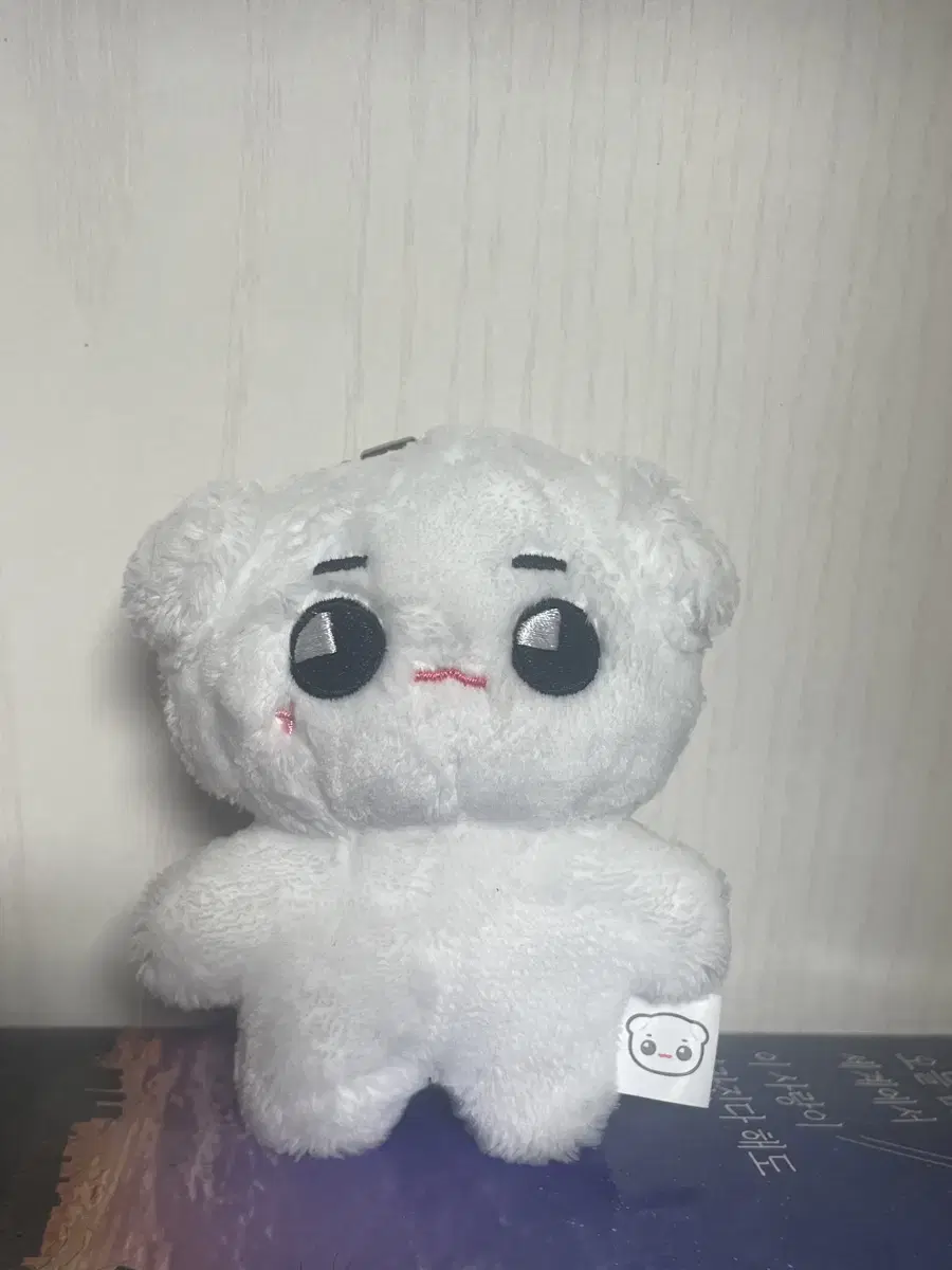 태용 10cm 인형 툥야 양도