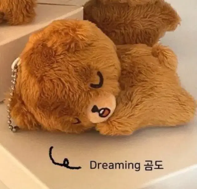 드리밍곰도 10cm 인형 해찬 원가양도 dreaming