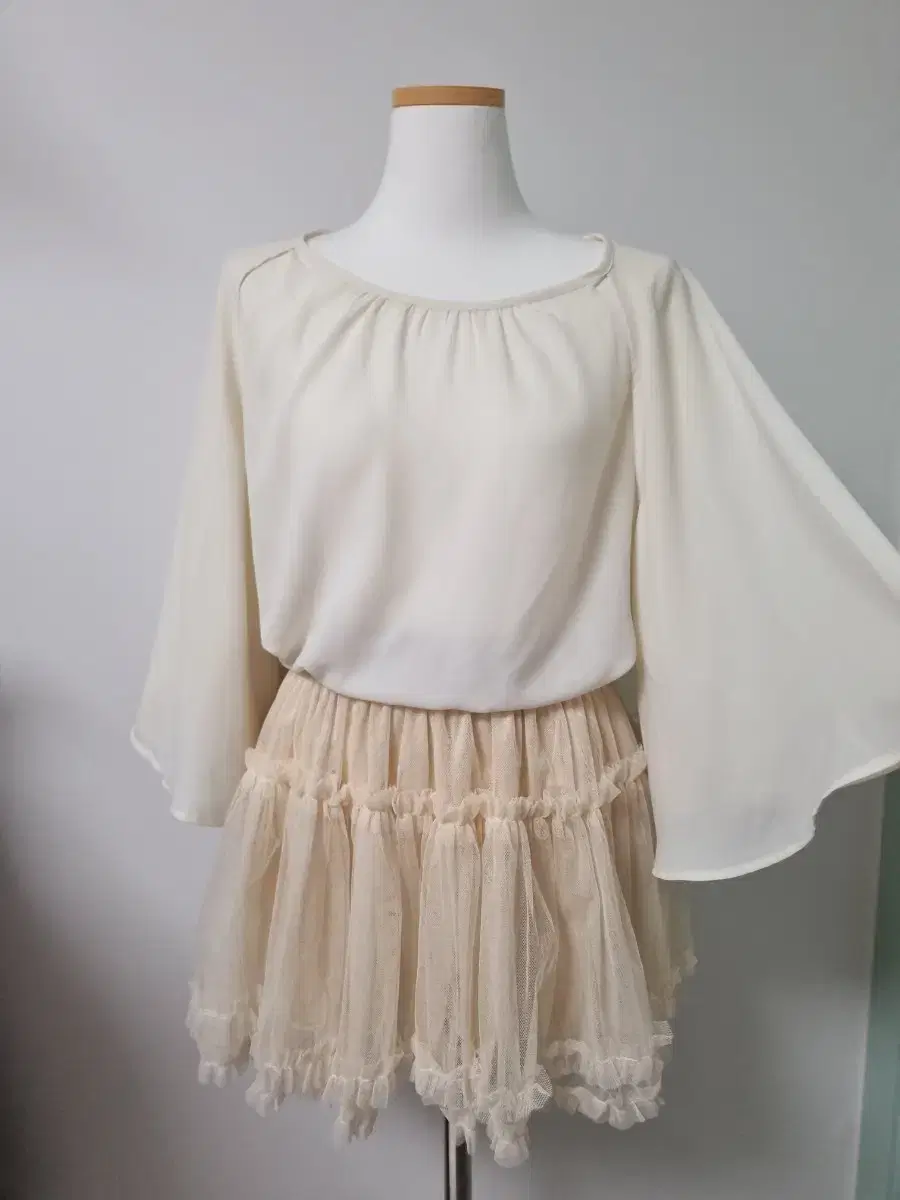 Ivory mesh chiffon skirt