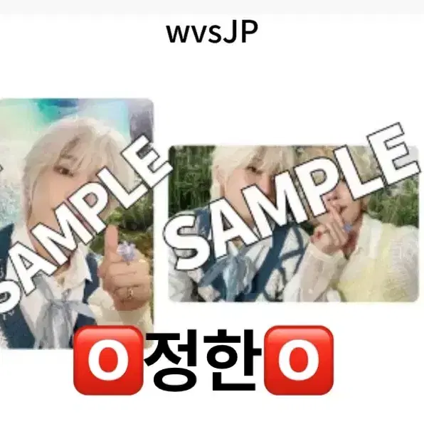 디스맨 위버스재팬 정한 예판특전 분철 위재팬