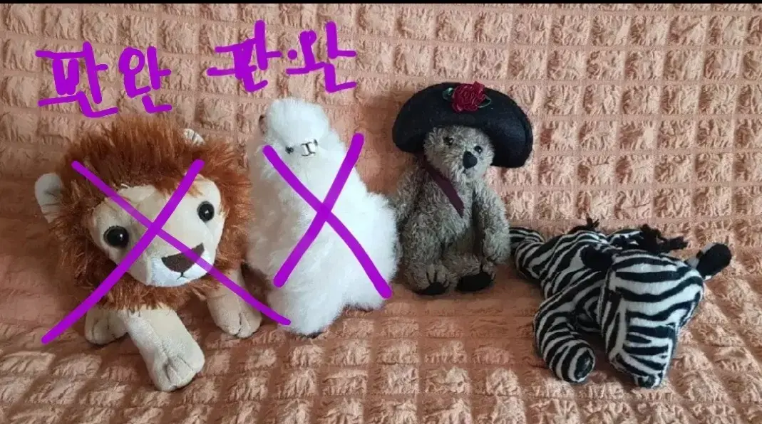 사자 라마 보이즈베어곰 ty얼룩말 인형 4개