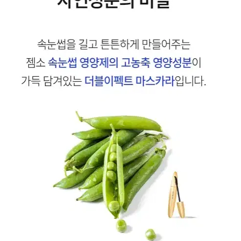 GEMSHO 더블 이펙트 마스카라 6g 속눈썹 블랙 마스카라 젬소 마스