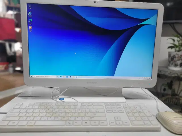 삼성(DM500A2L) 올인원 PC