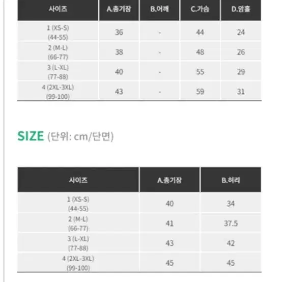 반값택배포함) 투피스 셋업 세트 (44-55반)