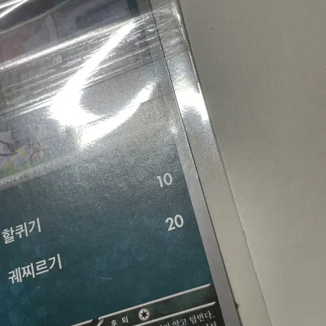 포켓몬스터 자망칼 포켓몬 카드 인테리어 소품 2