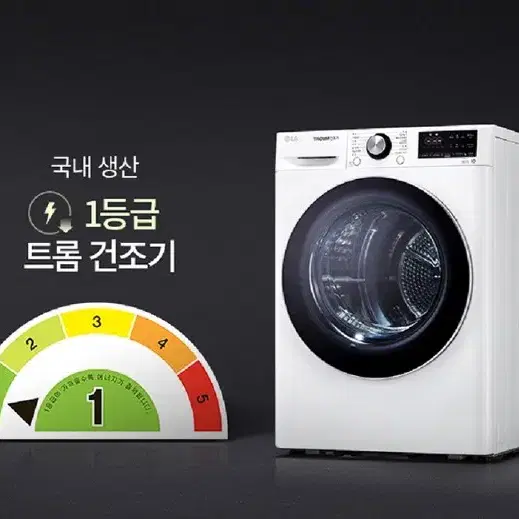 [월 14,500원]LG 트롬 듀얼 인버터 히트펌프 건조기 10kg