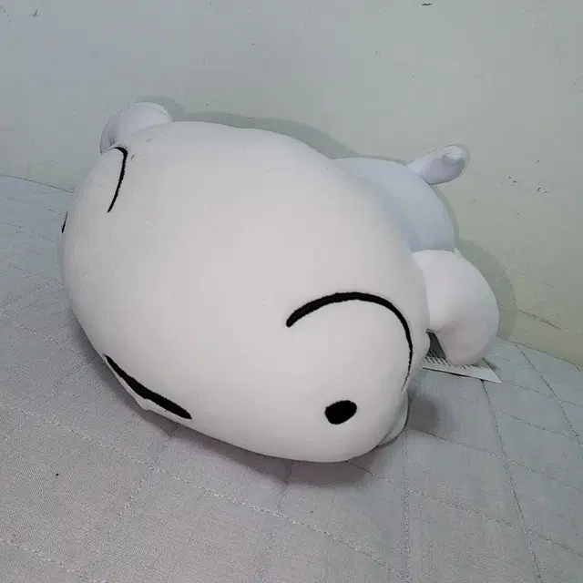 흰둥이 인형