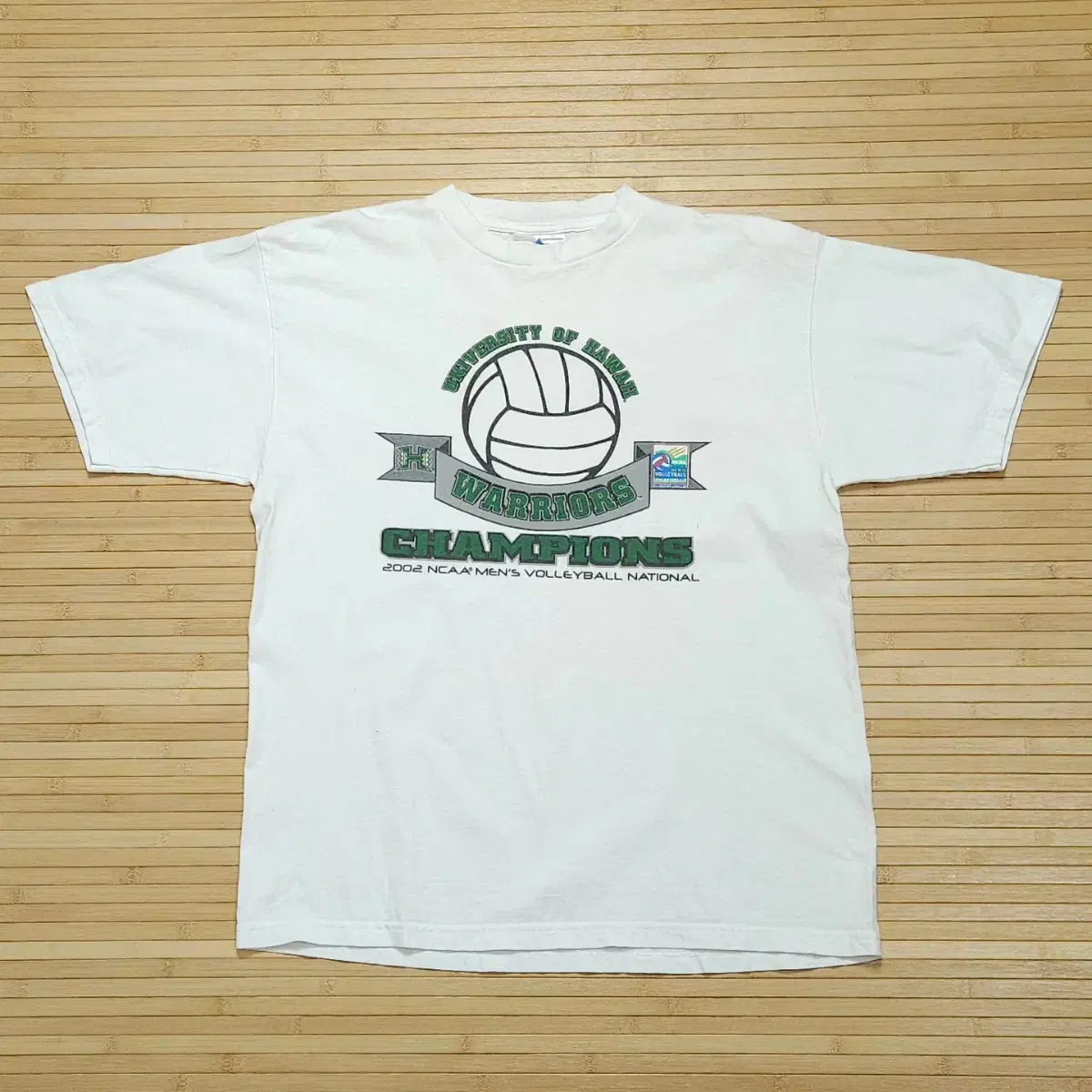 02s Vintage Volleyball Championship T-Shirt