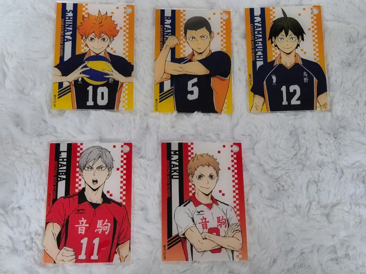 Haikyuu acrylic kard hinata Rief Yaku Tanaka Yamaguchi