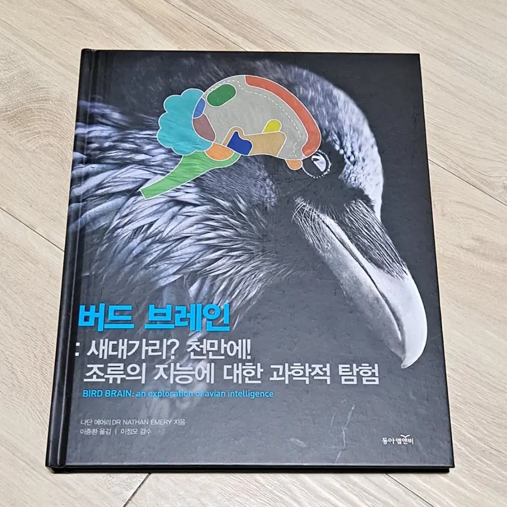 버드 브레인