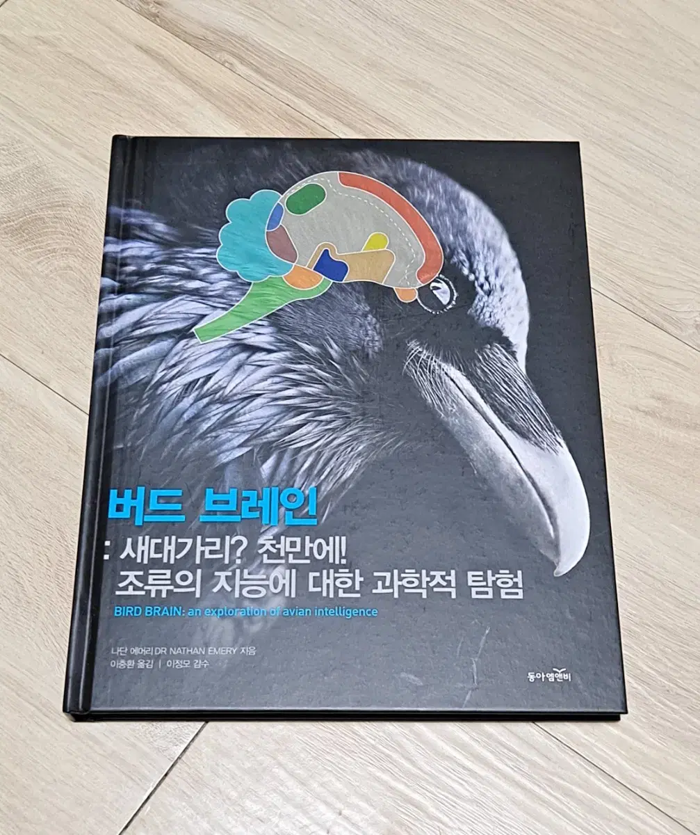 버드 브레인