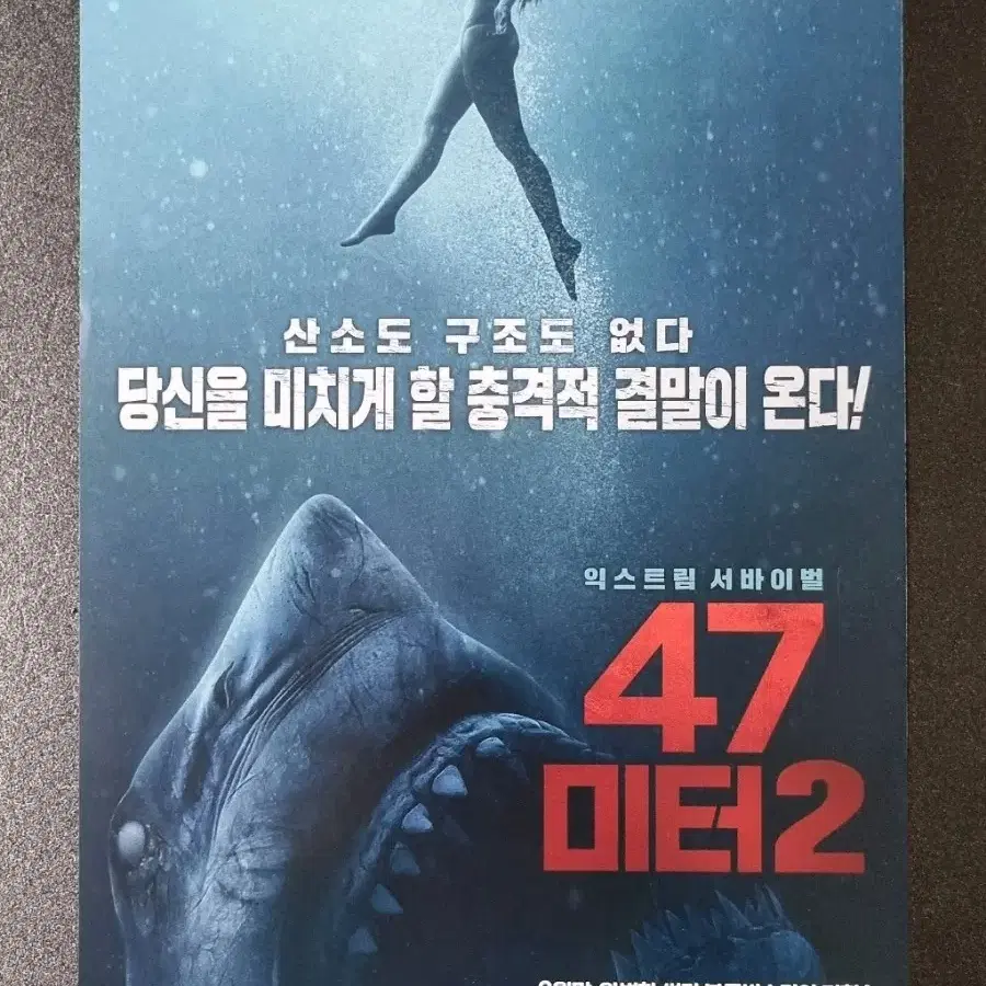 [영화팜플렛] 47미터 2 (2019) 요하네스로버츠 감독 영화전단지