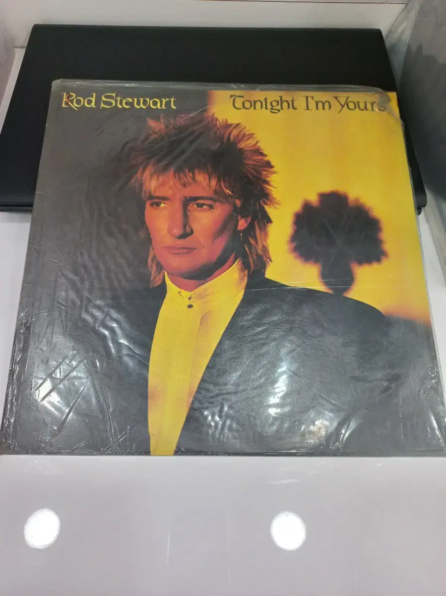 팝 lp 로드스튜어트 Rod Stewart