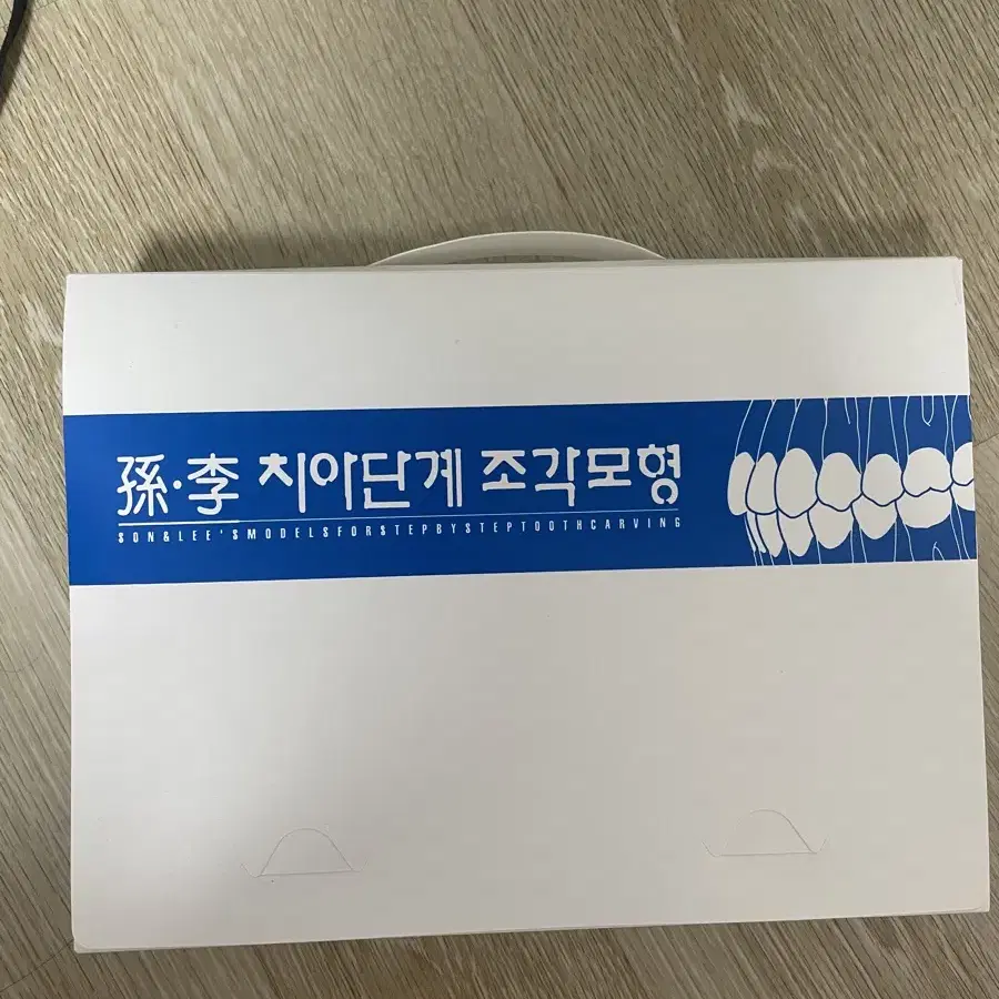 치기공 치아모형