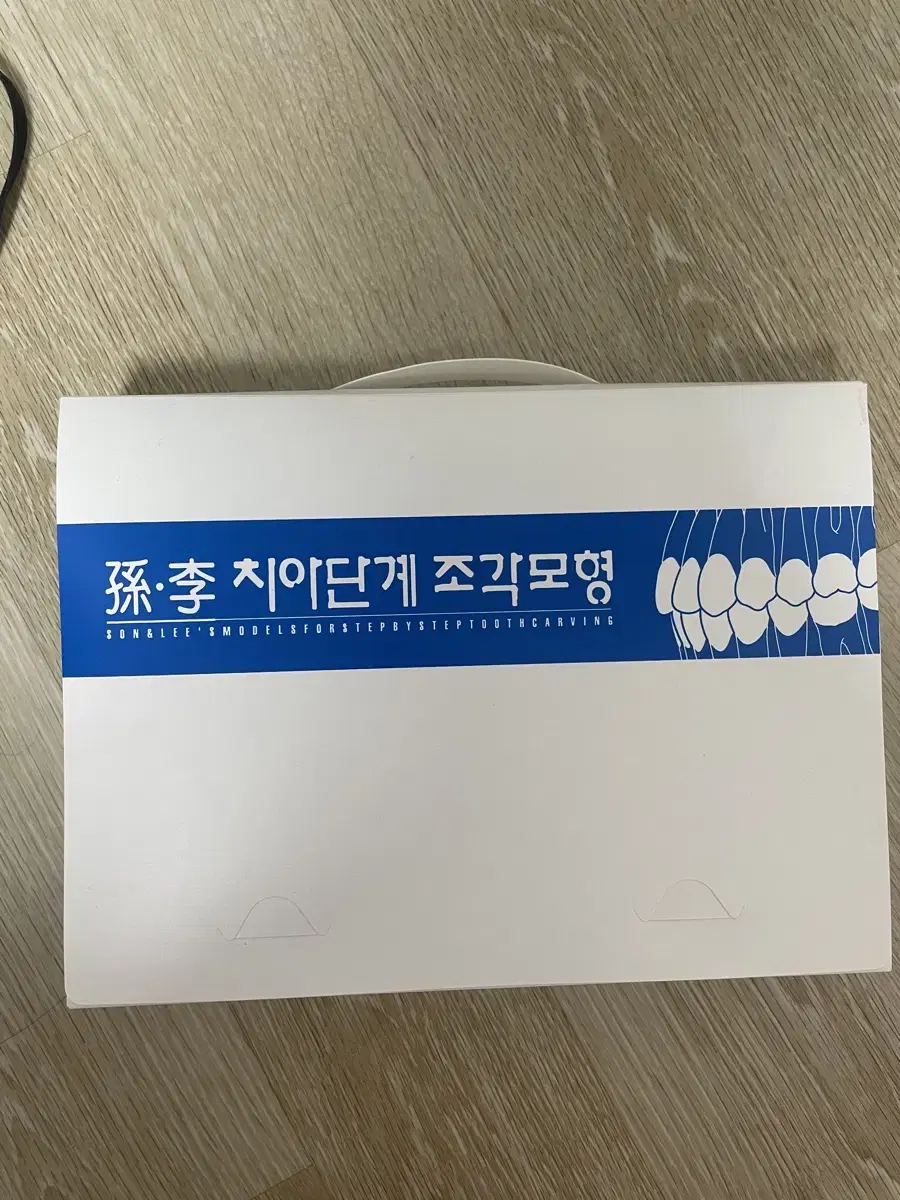 치기공 치아모형