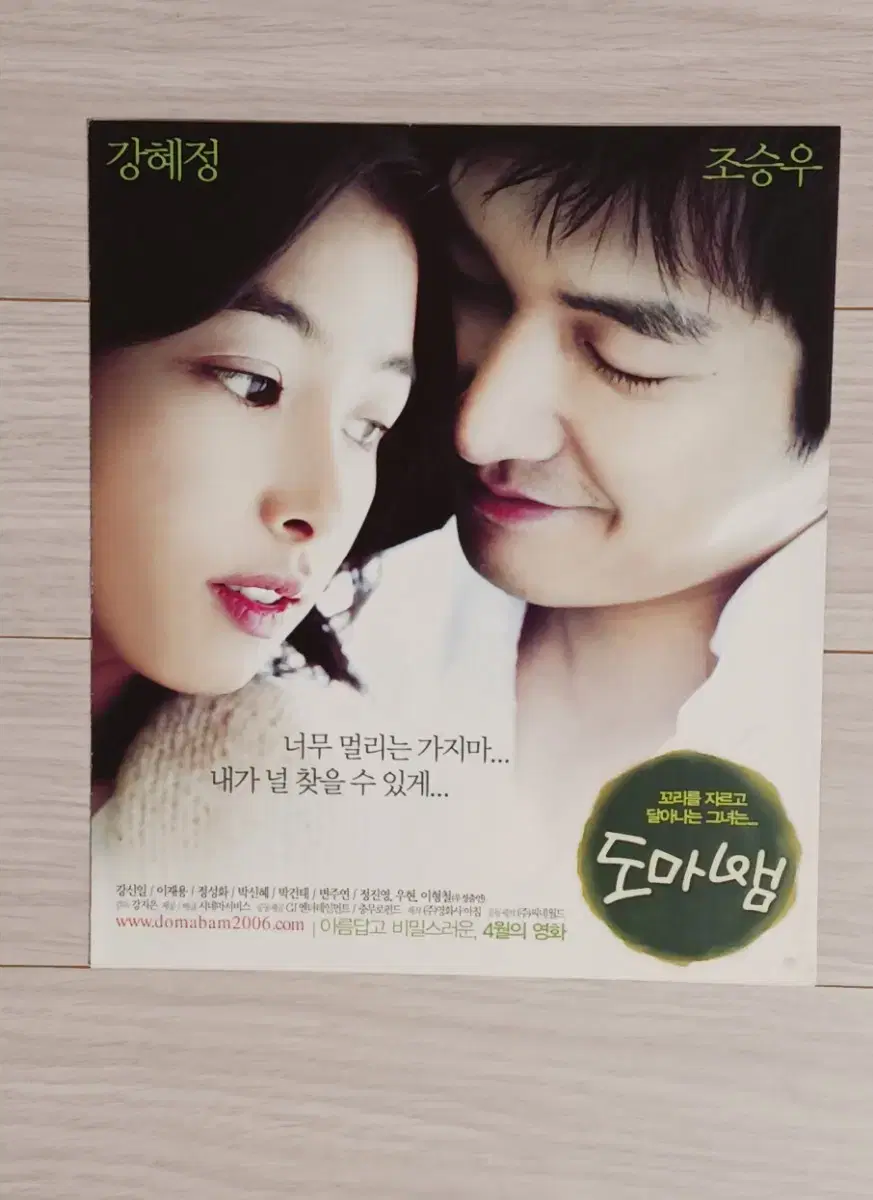 Kang Hye-jung Jo Seungwoo Lizard (2006) flyer (3 steps)