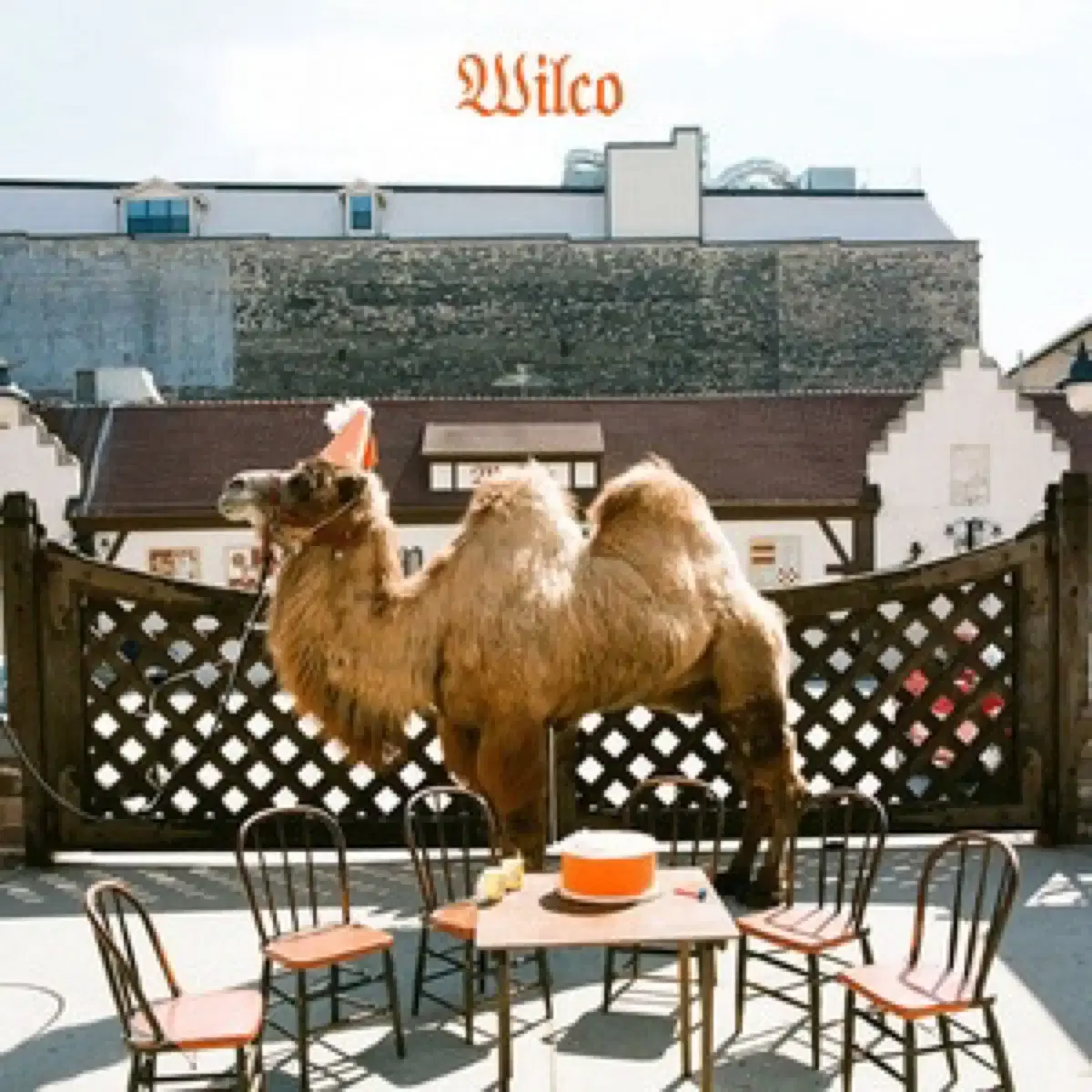 윌코 Wilco 앨범 시디 CD