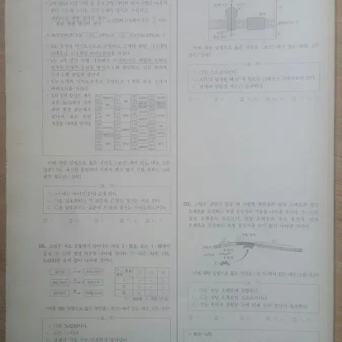 평가원 수능 2025학년도 6월 모의고사 생명과학2