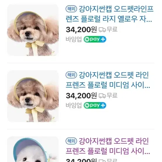 애견 햇빛 가리개 모자