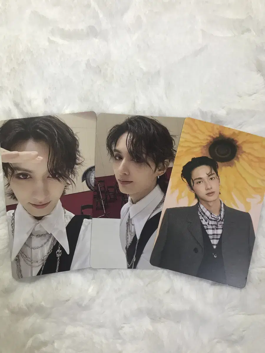 Vesk Album Jun Photocard (Bulk)