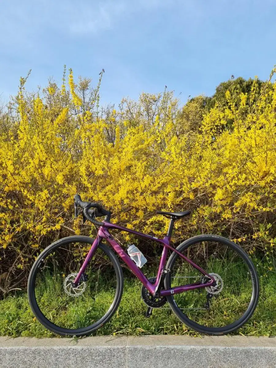 Women's road bike (Langma Advance 2) with microcracks!