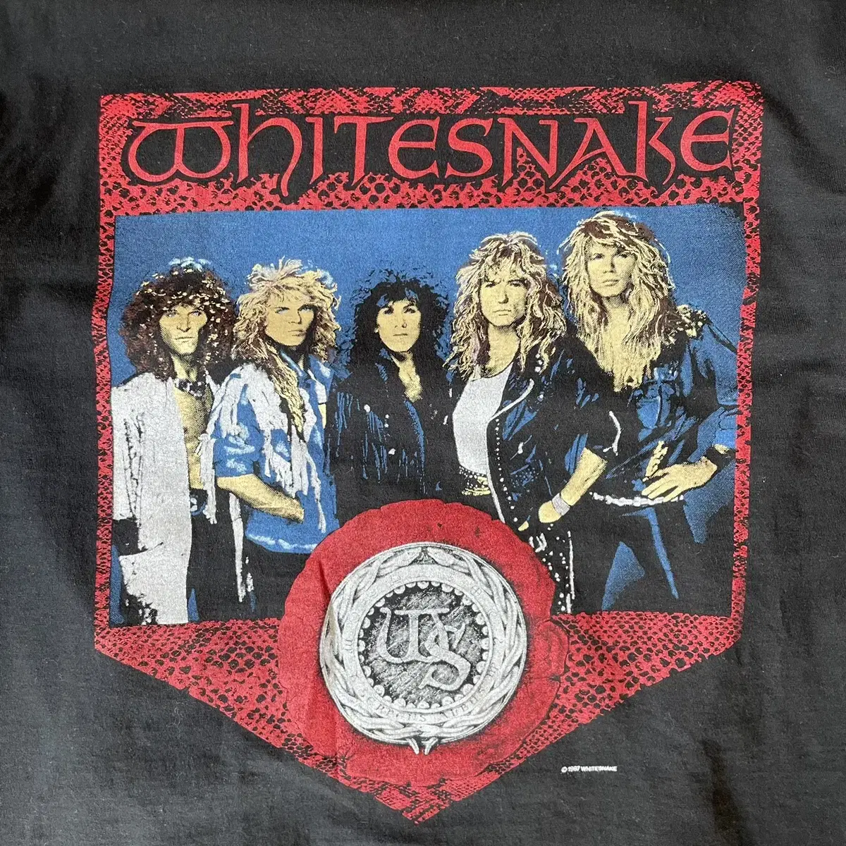 JP 87s White snake band t-shirts