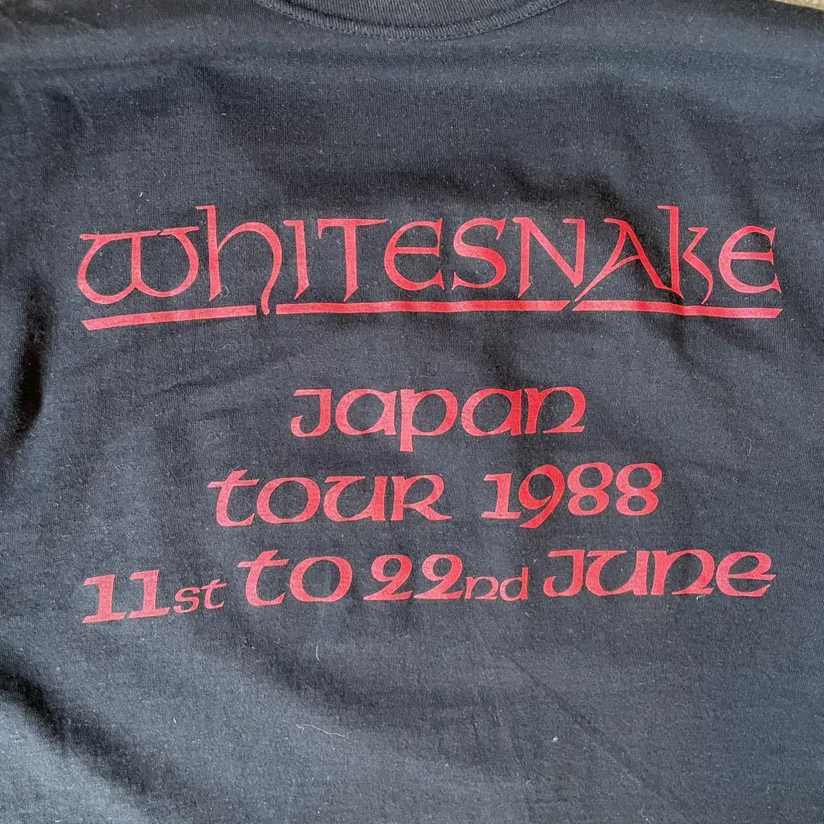 JP 87s White snake band t-shirts