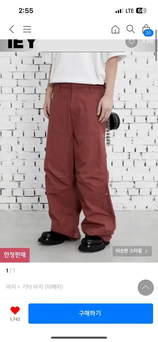 Iggy Carpenter Pants