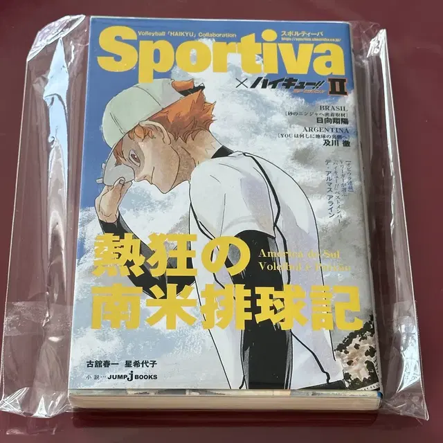 하이큐 히나타 sportiva 스포티바