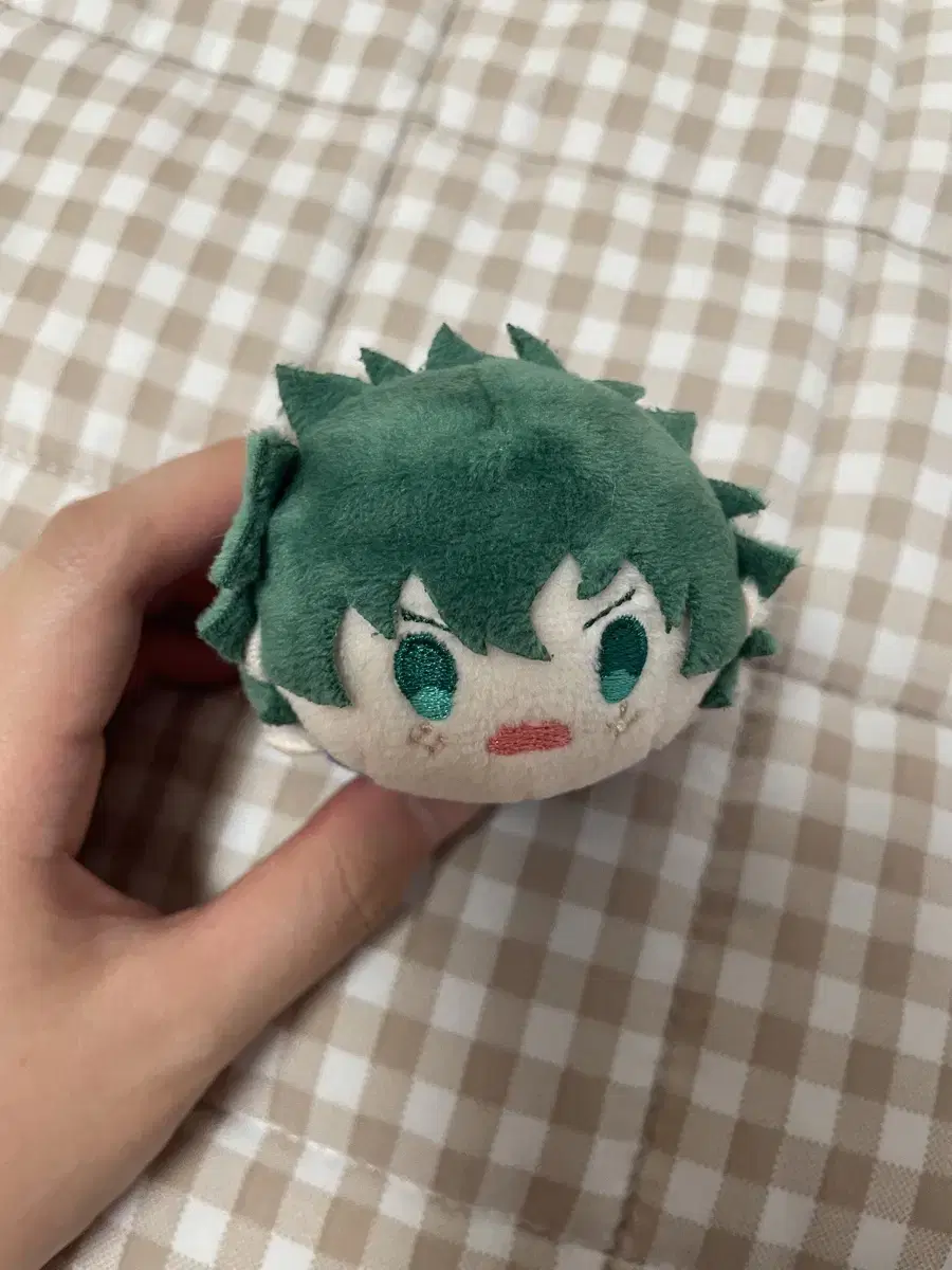 Midoriya Mochimasu