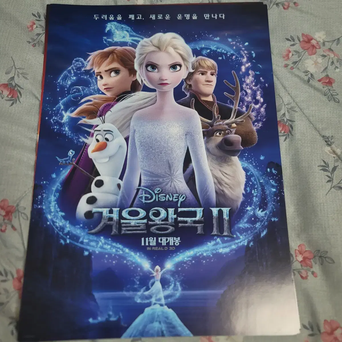 Frozen movie poster brochure flyer