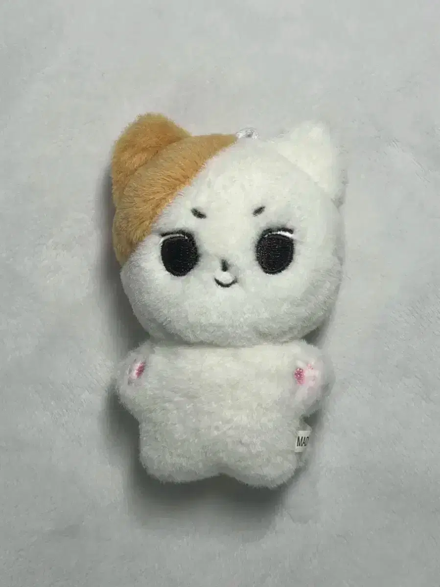 Half-priced Delivery) enhypen jungwon doll WTS