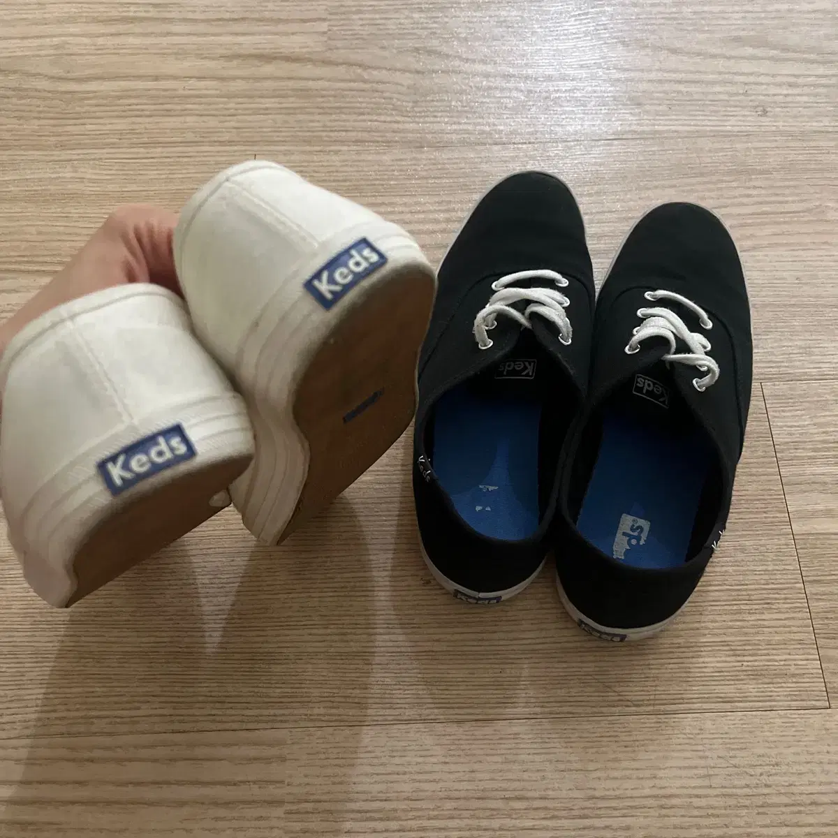 Keds 케즈 챔피온 스니커즈 2켤레 같이팜