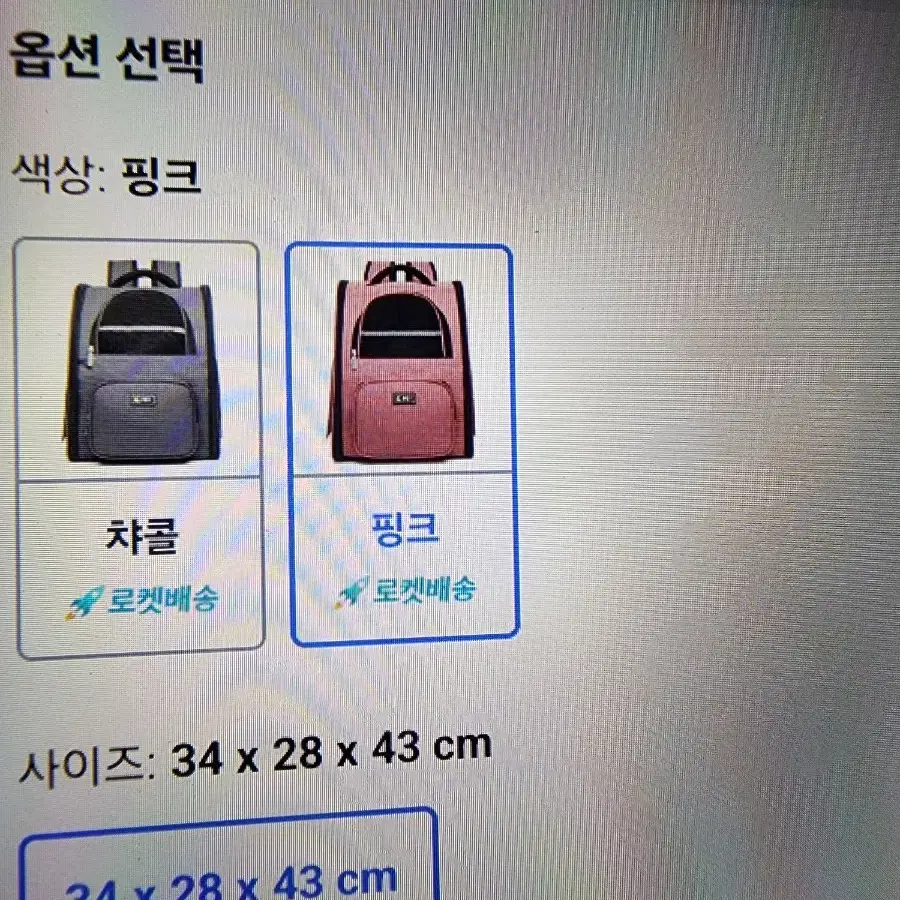 애견 백팩 있어요