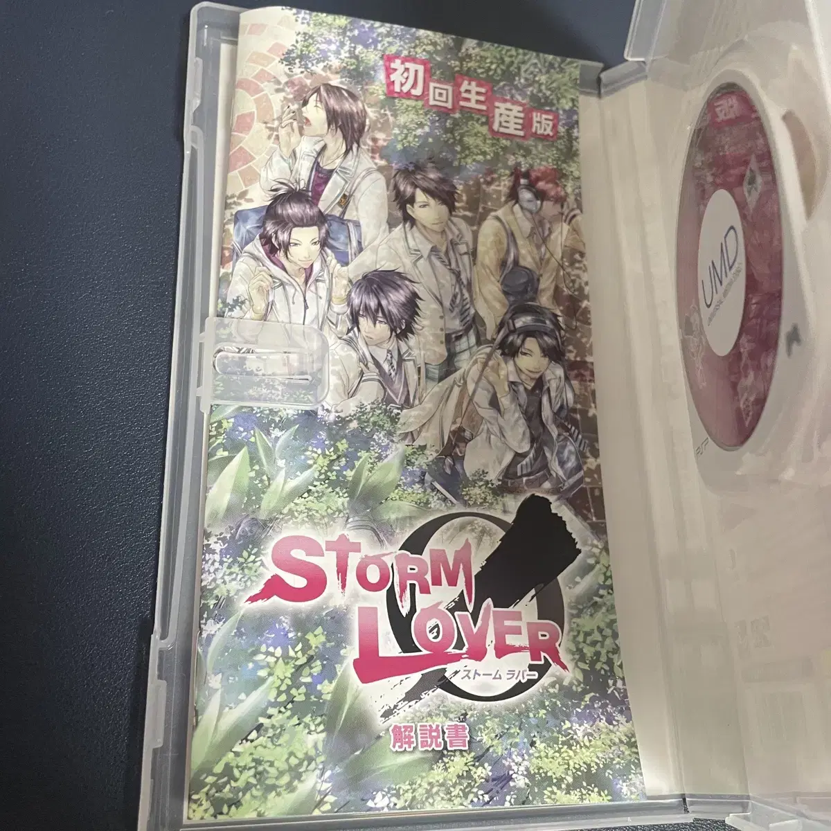 Psp) 스톰 러버 Storm Lover / 중고 일판