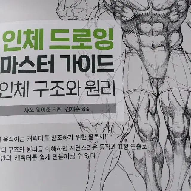 인체 드로잉 마스터 가이드 인체 구조와 원리 / 인체, 드로잉, 작법서