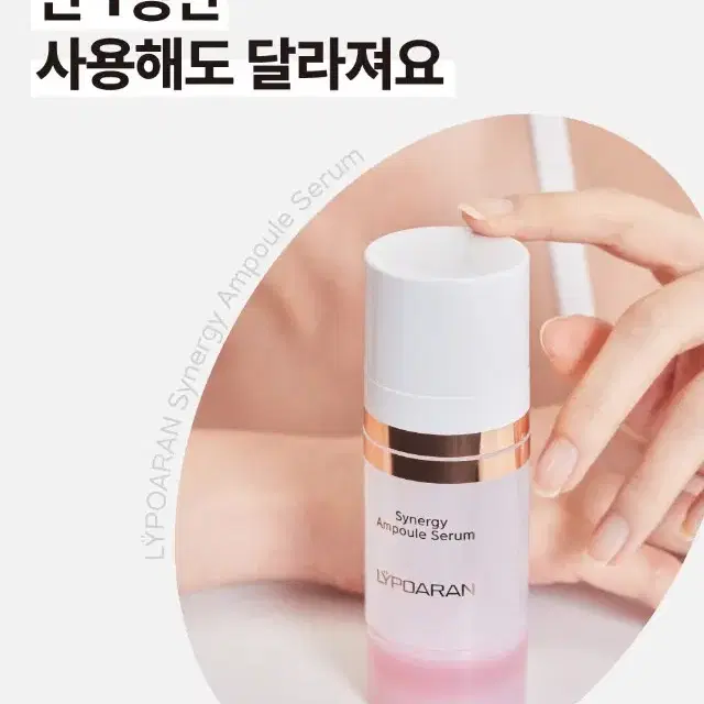 쎄라덤 리포아란 시너지 앰플 세럼 50ml+사은품