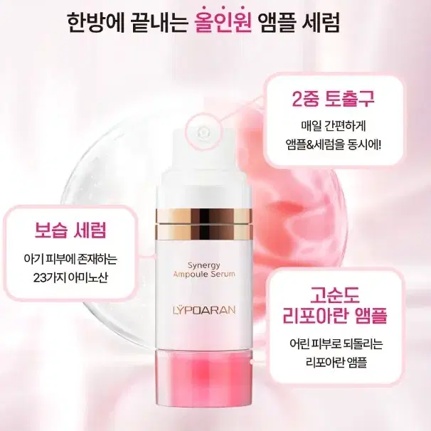 쎄라덤 리포아란 시너지 앰플 세럼 50ml+사은품