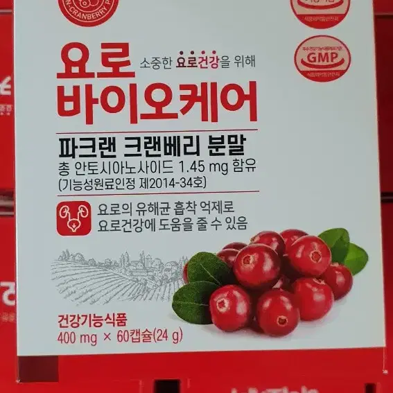 요로바이오케어 400mg(60캡슐) 크랜베리 요로건강 방광염 방광영양제