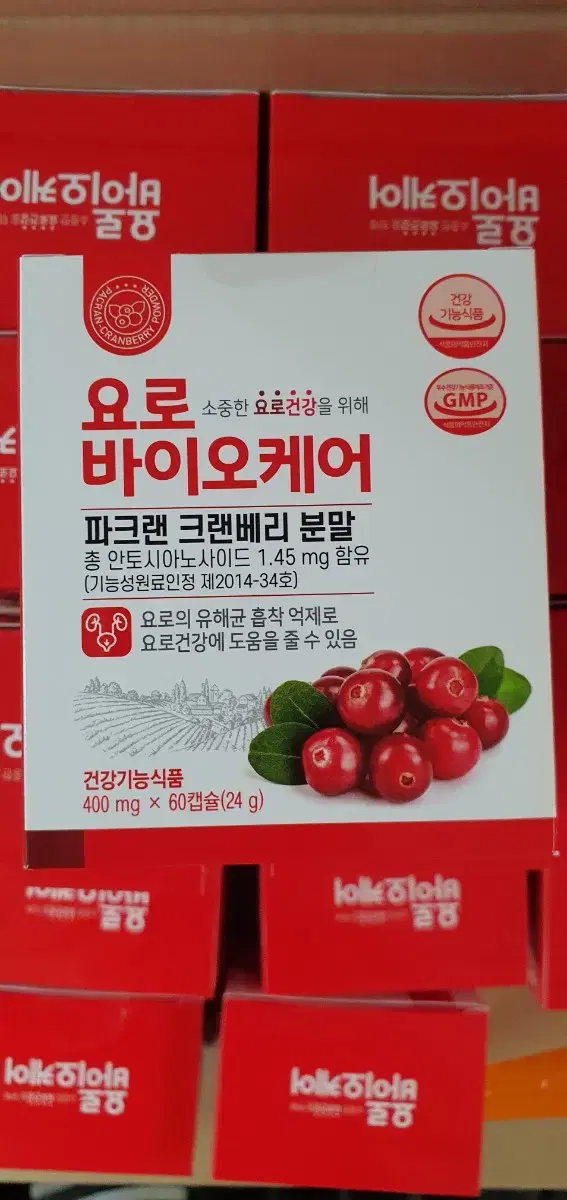 요로바이오케어 400mg(60캡슐) 크랜베리 요로건강 방광염 방광영양제