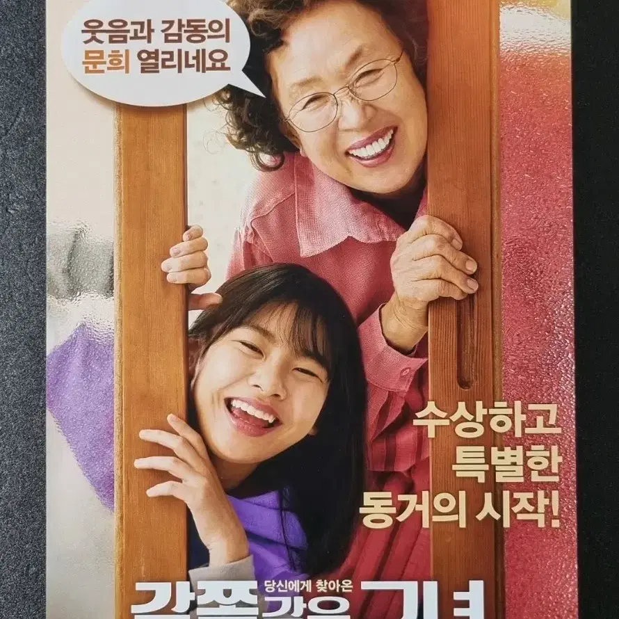 [영화팜플렛] 감쪽같은 그녀 (2019) 나문희 김수안 천우희 전단지