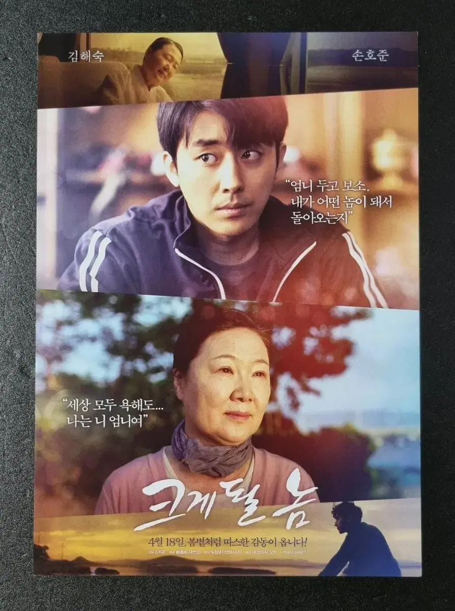 [영화팜플렛] 크게될놈 (2019) 손호준 김해숙 남보라 영화전단지