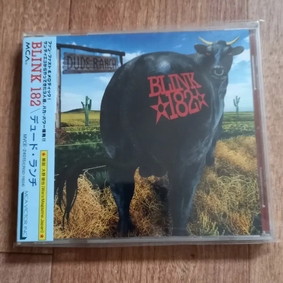 blink 182 cd 일본반 시디