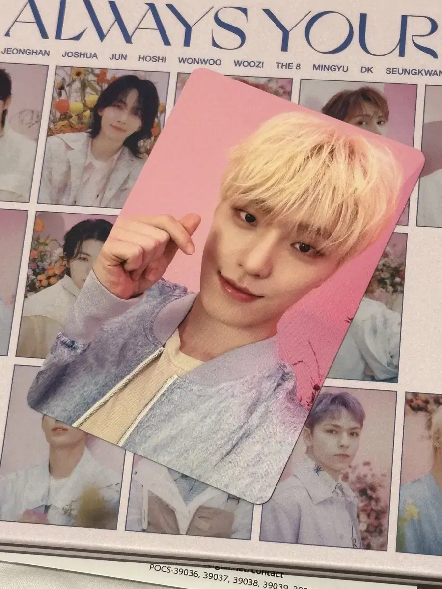 Seventeen dino Best of Japan album Photocard