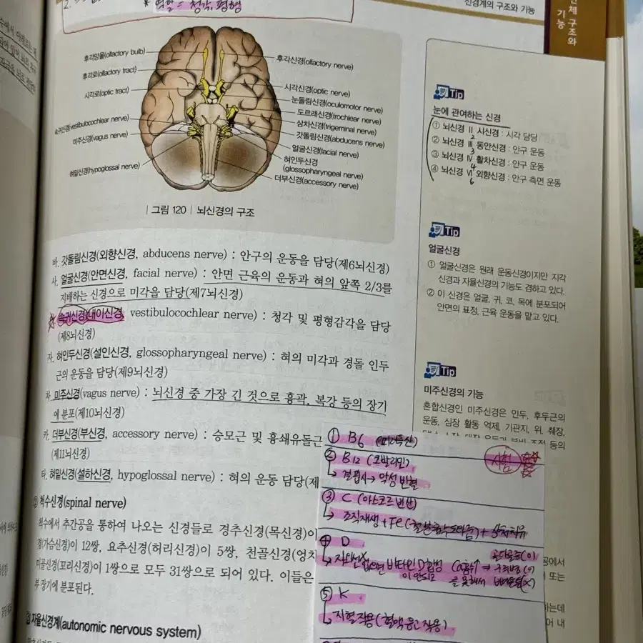 간호조무사 문제집 일괄 판매