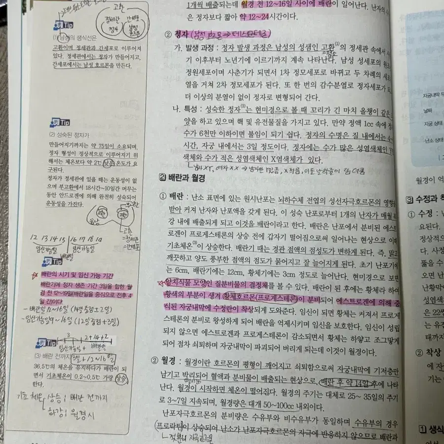 간호조무사 문제집 일괄 판매