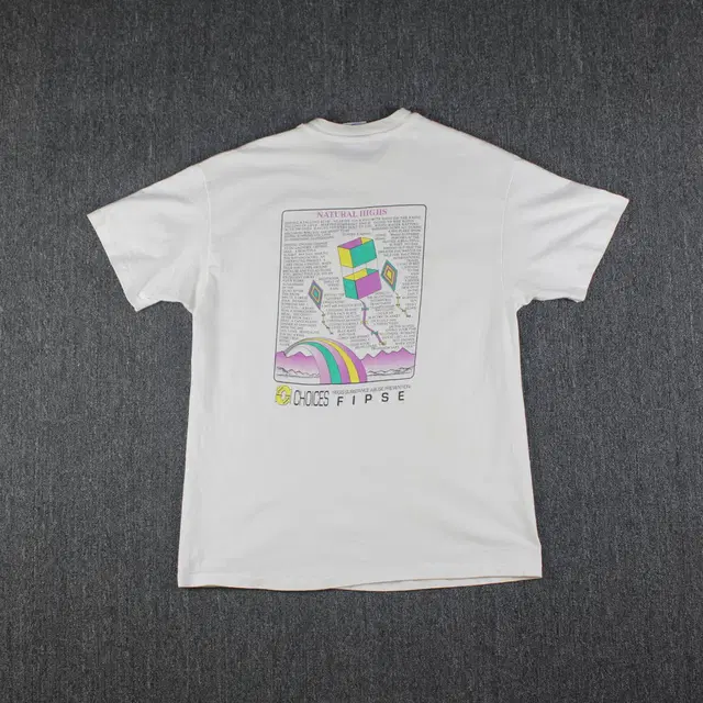 90s Hanes vintage T-Shirt