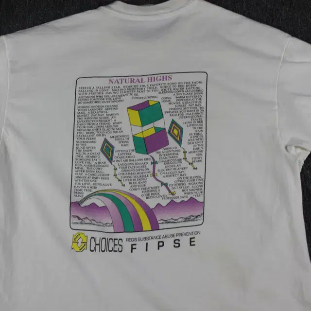 90s Hanes vintage T-Shirt