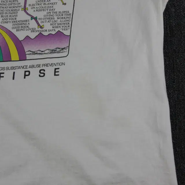 90s Hanes vintage T-Shirt