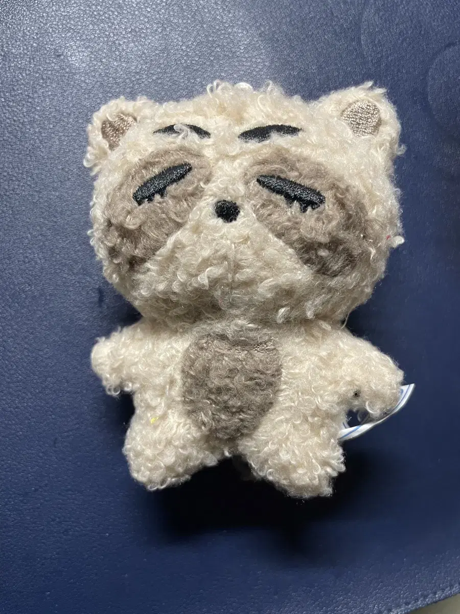 Seventeen s.coups doll Kupkuri sells